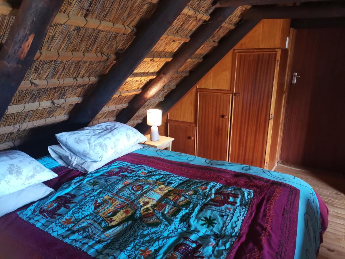 Chilli Moon B&B Stilbaai Exterior foto